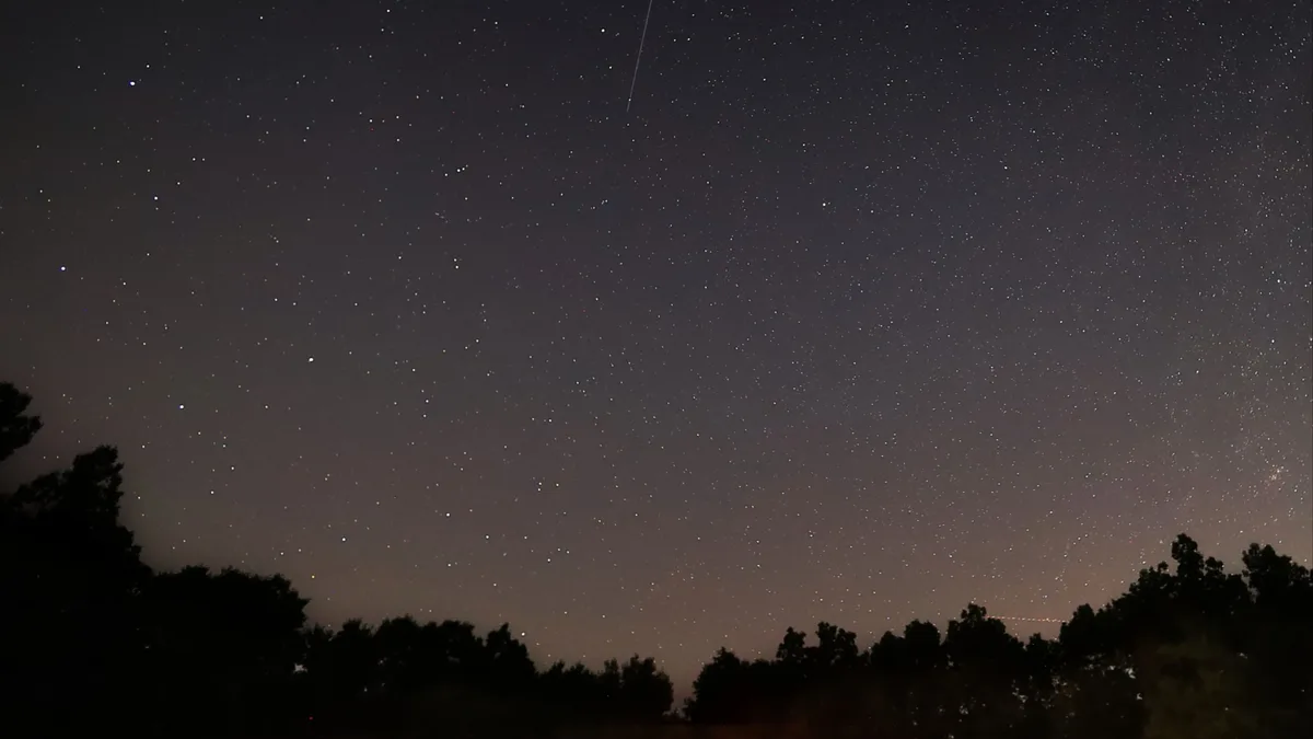 Meteoro riscando o céu estrelado sobre a silhueta escura de uma floresta