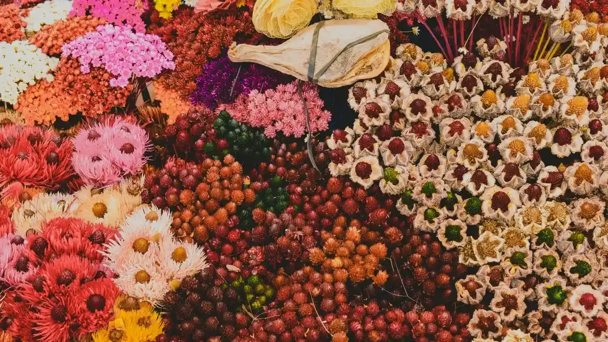 Arranjos de flores variadas expostos em bancada de mercado, com texturas e cores diversas