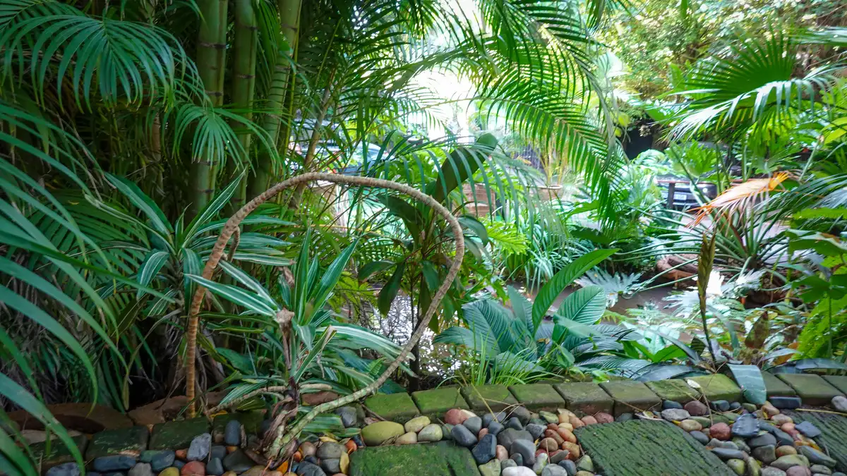 Caminho de pedras em jardim exuberante com plantas tropicais à beira de um lago