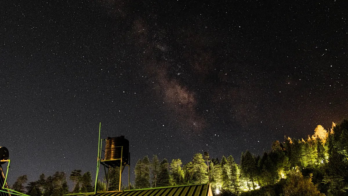 Via Láctea sobre a silhueta escura de uma floresta em céu estrelado